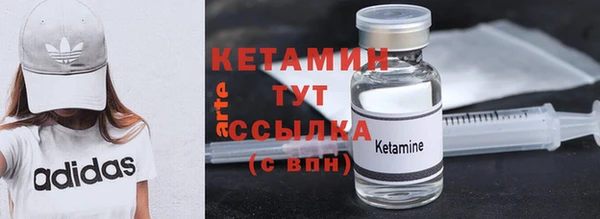 сатива Кулебаки
