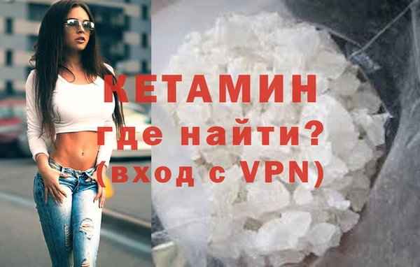 сатива Кулебаки
