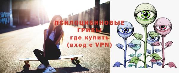 apvp Киров