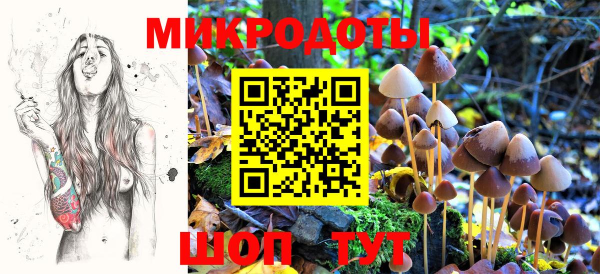 Псилоцибиновые грибы Psilocybe  даркнет сайт  Нижневартовск  Вход с VPN 
