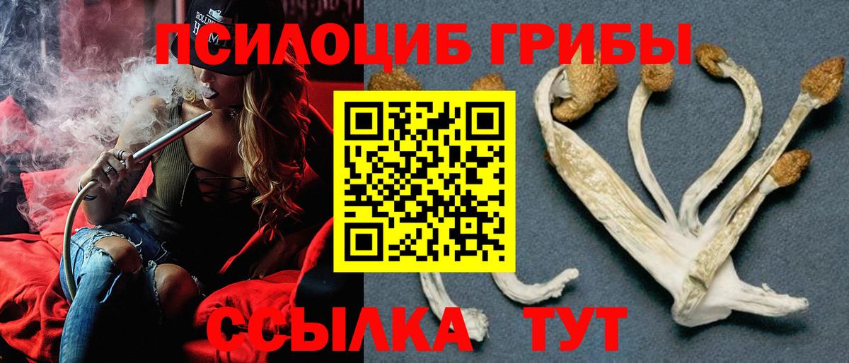 Галлюциногенные грибы Magic Shrooms  Нижневартовск  Псилоцибиновые грибы прущие грибы 